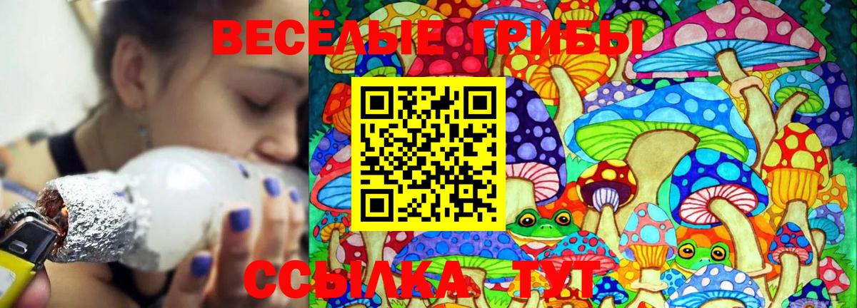 Галлюциногенные грибы Psilocybine cubensis Таганрог